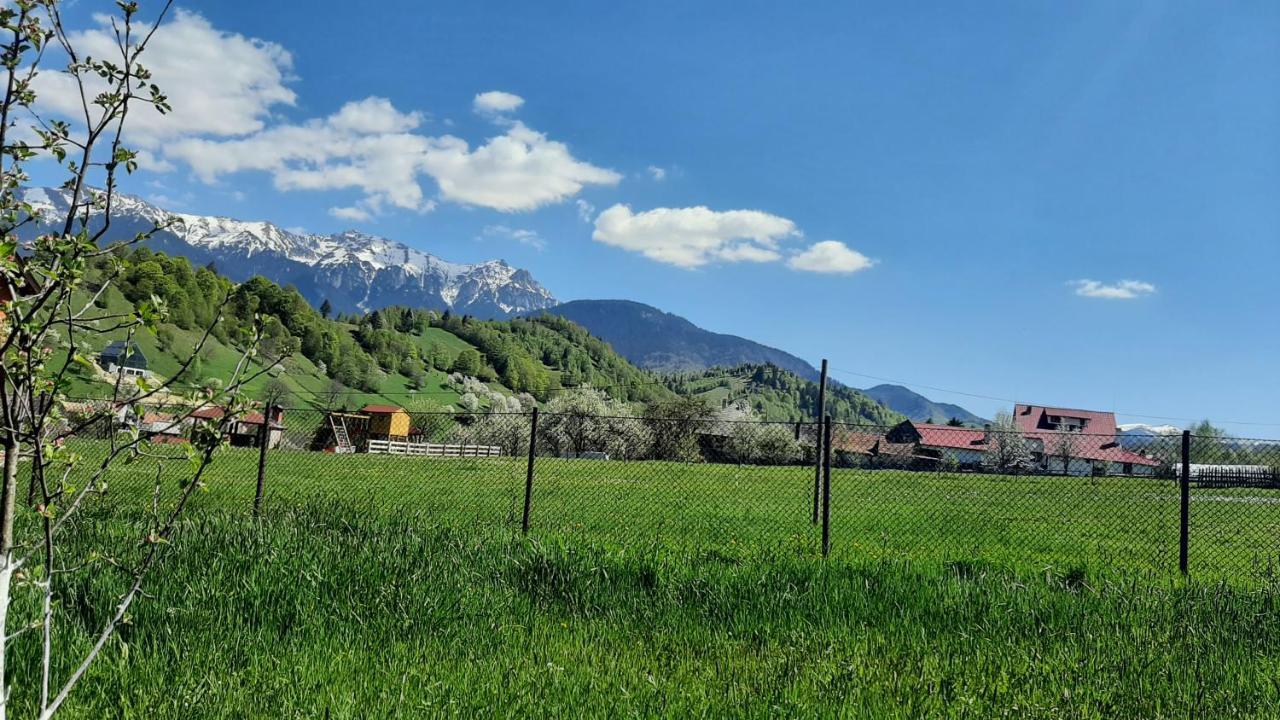Casa In Curte La Zavate Villa Bran  Exterior photo